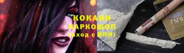индика Навашино