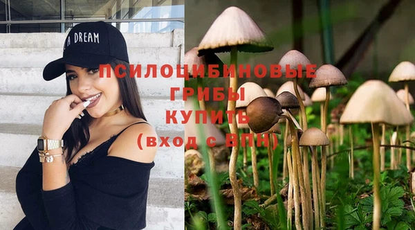 индика Навашино